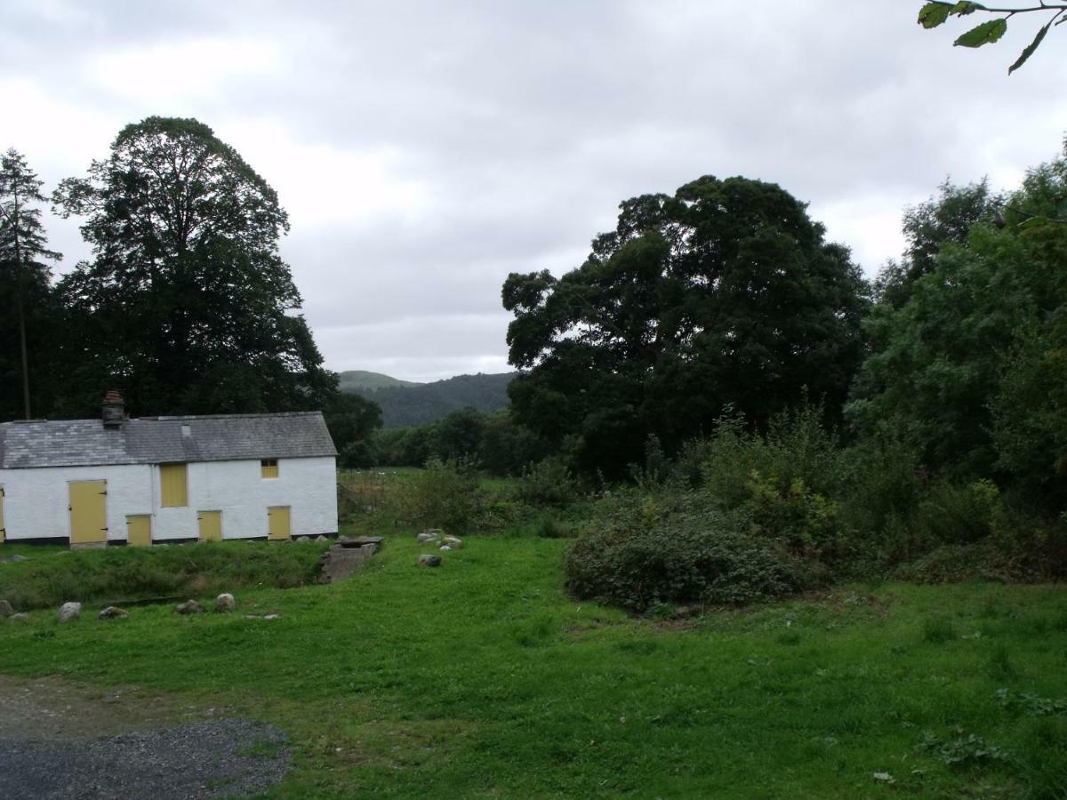 Cosy Ground Floor Disabled Friendly Room In Farm House Llandderfel Buitenkant foto