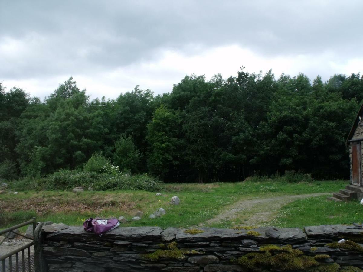 Cosy Ground Floor Disabled Friendly Room In Farm House Llandderfel Buitenkant foto