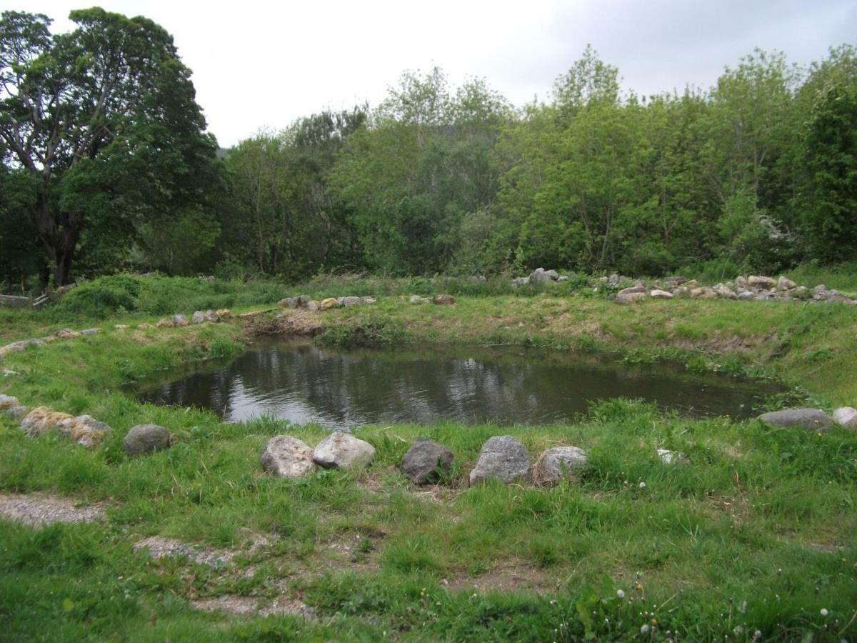 Cosy Ground Floor Disabled Friendly Room In Farm House Llandderfel Buitenkant foto